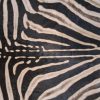 Zebra hide skin