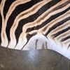 Tanned Zebra hide