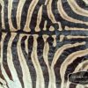 Tanned Zebra hide